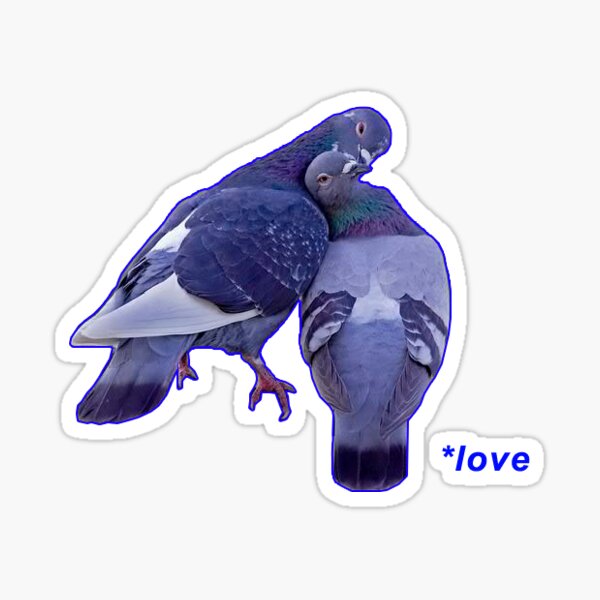 Birbs Sticker