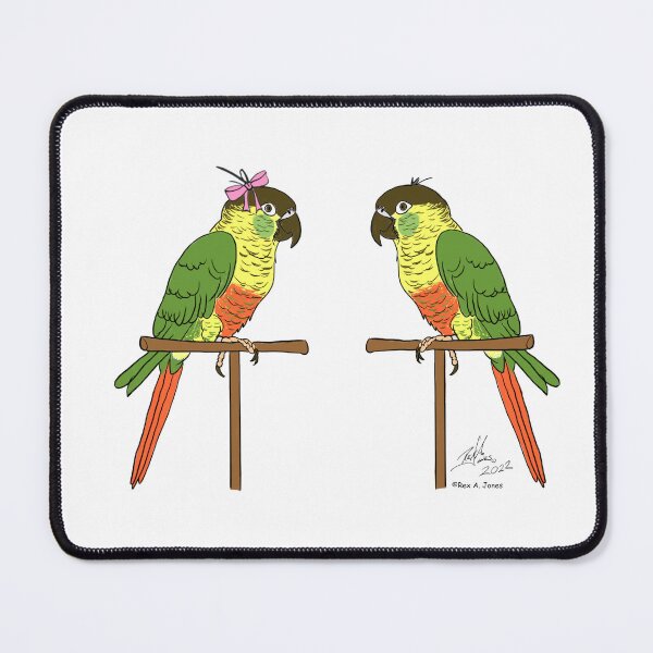 Item preview, Crazy Bird Person with Green Cheeked Conures designed and sold by Laughing Parrot Studio.