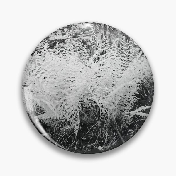 Item preview, By the brook so black. Infrared bw photography designed and sold by Jouko Lehto Photography.