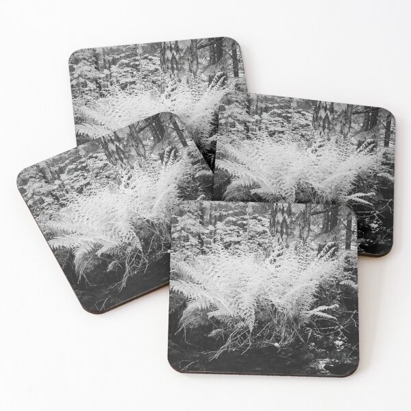 Item preview, By the brook so black. Infrared bw photography designed and sold by Jouko Lehto Photography.