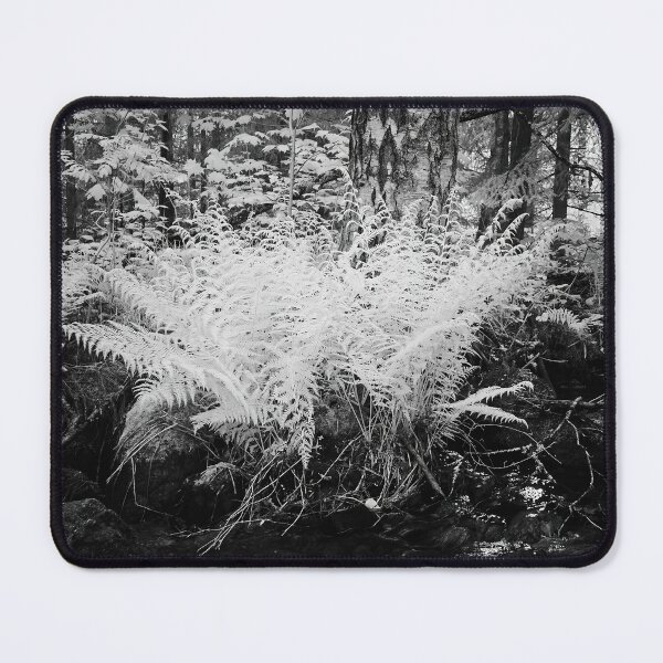 Item preview, By the brook so black. Infrared bw photography designed and sold by Jouko Lehto Photography.