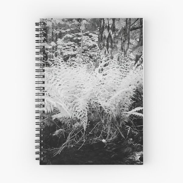 Item preview, By the brook so black. Infrared bw photography designed and sold by Jouko Lehto Photography.