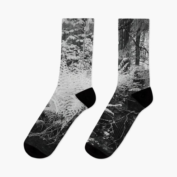 Item preview, By the brook so black. Infrared bw photography designed and sold by Jouko Lehto Photography.