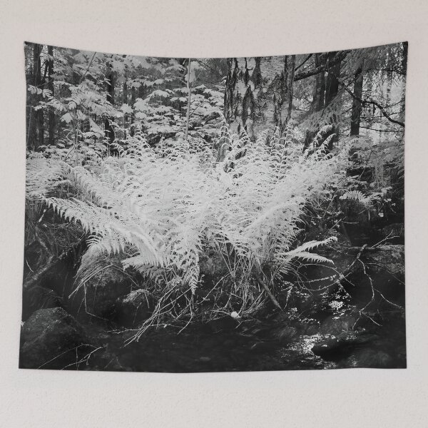 Item preview, By the brook so black. Infrared bw photography designed and sold by Jouko Lehto Photography.