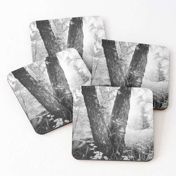 Item preview, Field of the fairies. Infrared bw photography designed and sold by Jouko Lehto Photography.
