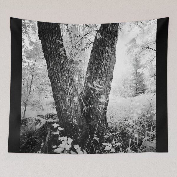 Item preview, Field of the fairies. Infrared bw photography designed and sold by Jouko Lehto Photography.