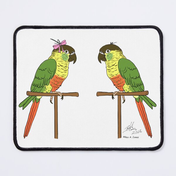 Item preview, Crazy Bird Lady with Green Cheeked Conures designed and sold by Laughing Parrot Studio.