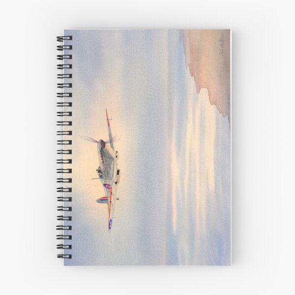 Item preview, Supermarine Spitfire designed and sold by William Holkham.
