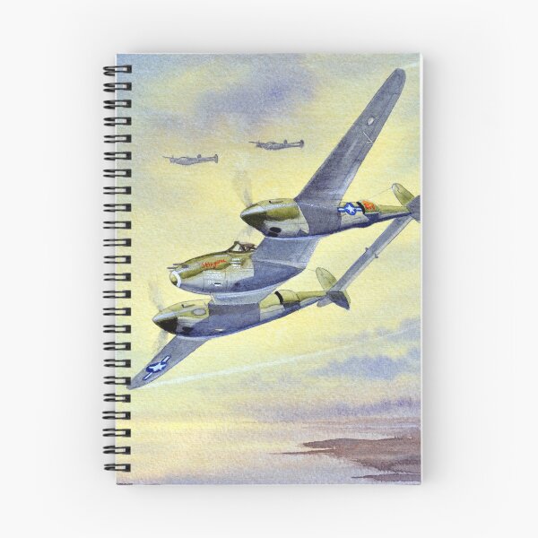 Item preview, P-38 Lightning Aircraft designed and sold by William Holkham.