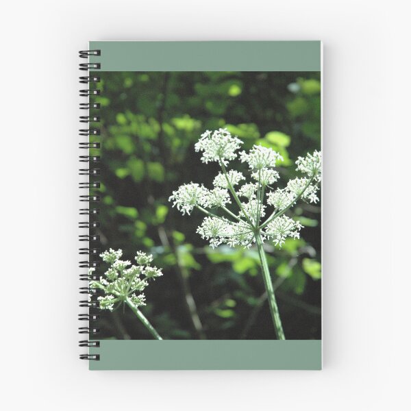 Item preview, Hogweed designed and sold by Photos-by-Eddie.