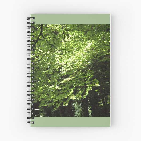 Item preview, Canopy designed and sold by Photos-by-Eddie.