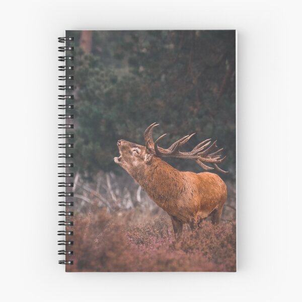 Item preview, Deer roaring designed and sold by wolfgangrainer.