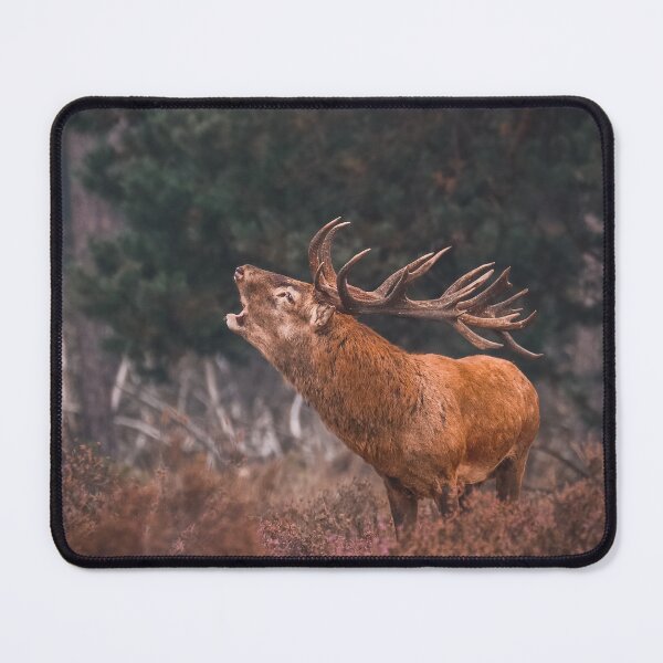 Item preview, Deer roaring designed and sold by wolfgangrainer.