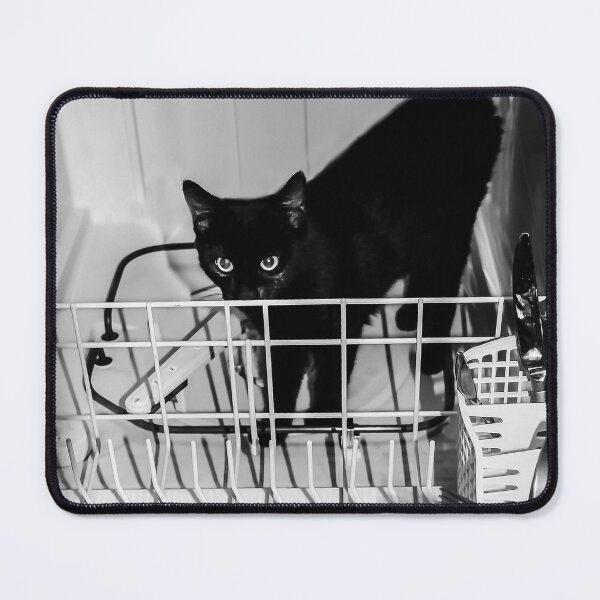 Item preview, What? This Isn't a Cat Washer?? designed and sold by heatherfriedman.