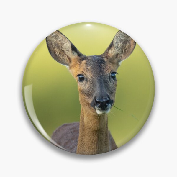 Item preview, Photogenic hind designed and sold by wolfgangrainer.
