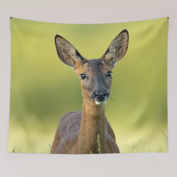 Item preview, Photogenic hind designed and sold by wolfgangrainer.