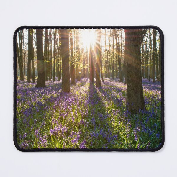 Item preview, Forest Sunrise designed and sold by Ceramic Scripture.