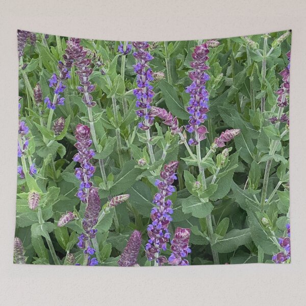Aperçu de l'œuvre Fleurs violettes par Mark Ewing créée et vendue par LifeSpice.