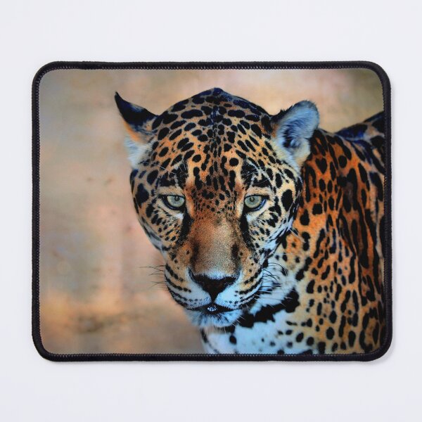 Item preview, Jaguar Panthera Onca designed and sold by Savannah Gibbs.