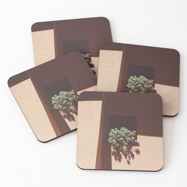 Item preview, Desert window succulent plants designed and sold by popcarol.
