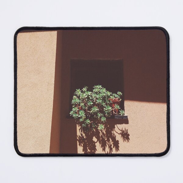 Item preview, Desert window succulent plants designed and sold by popcarol.