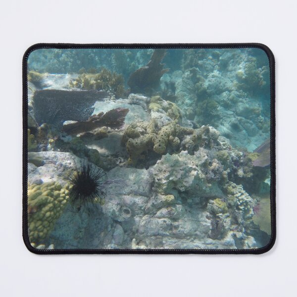 Item preview, Under the Caribbean Sea by Mark Ewing designed and sold by LifeSpice.