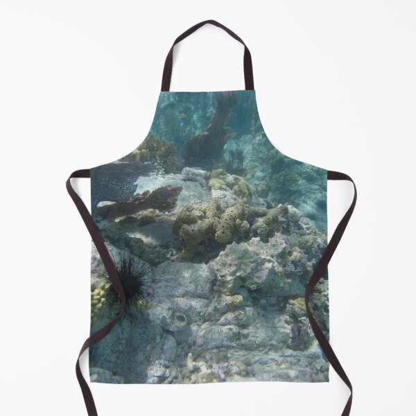 Item preview, Under the Caribbean Sea by Mark Ewing designed and sold by LifeSpice.