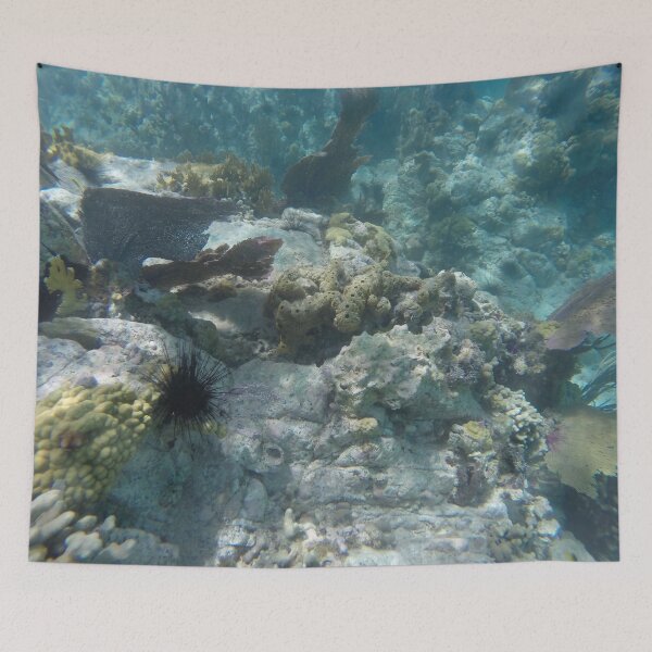 Item preview, Under the Caribbean Sea by Mark Ewing designed and sold by LifeSpice.