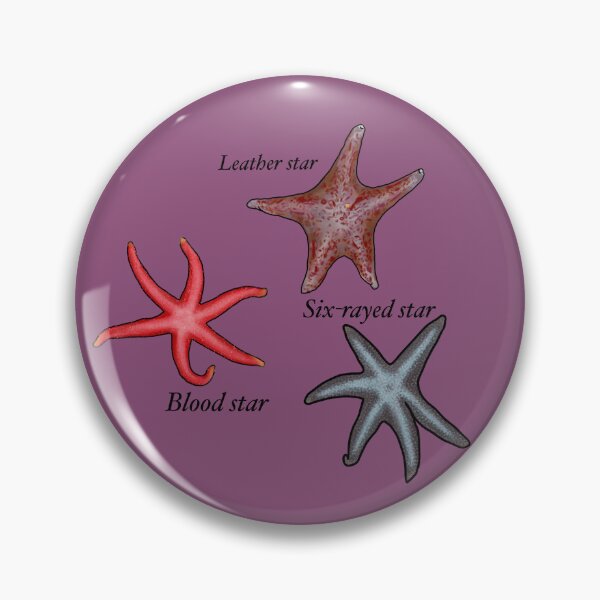 Item preview, Starfish cluster designed and sold by Seatheocean.