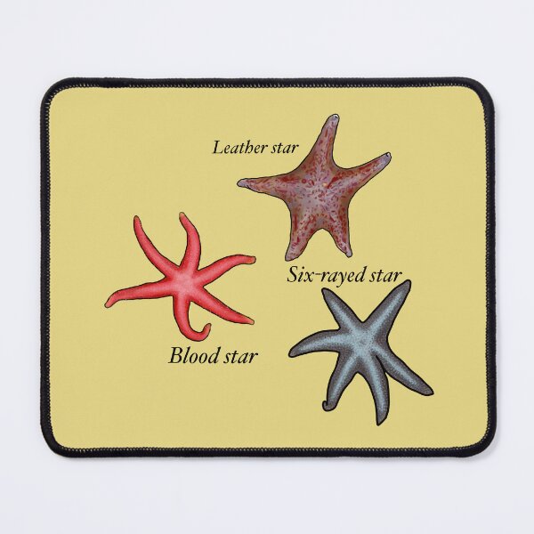 Item preview, Starfish cluster designed and sold by Seatheocean.