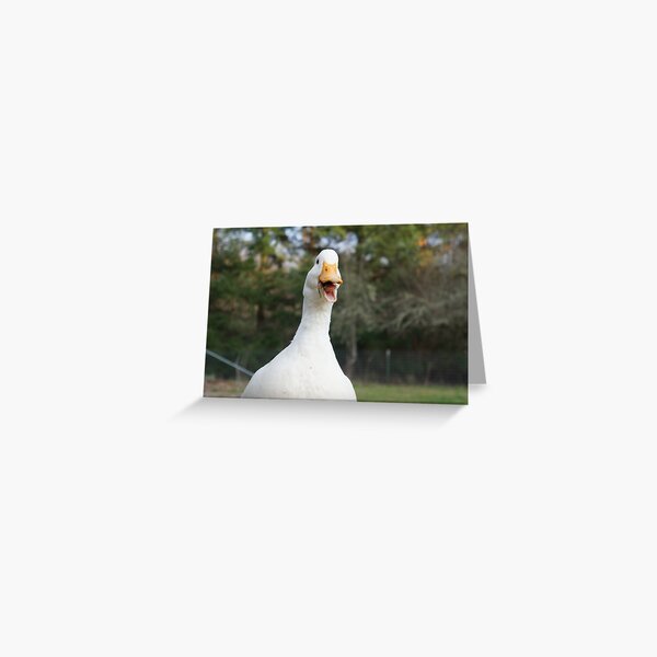Daisy the Duck Loves to Talk Greeting Card