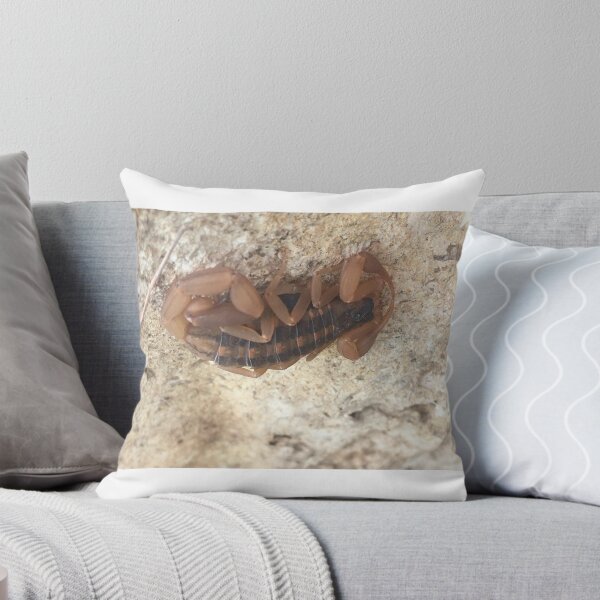 Item preview, Striped Bark Scorpion 1 designed and sold by NimsNature.