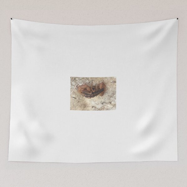 Item preview, Striped Bark Scorpion 1 designed and sold by NimsNature.