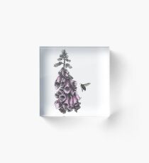 Busy Bee Acrylic Block