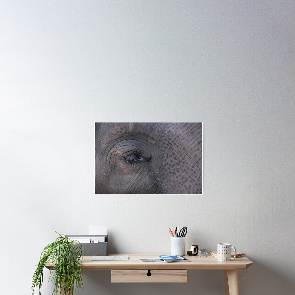 Item preview, Poster designed and sold by Rhawnt.