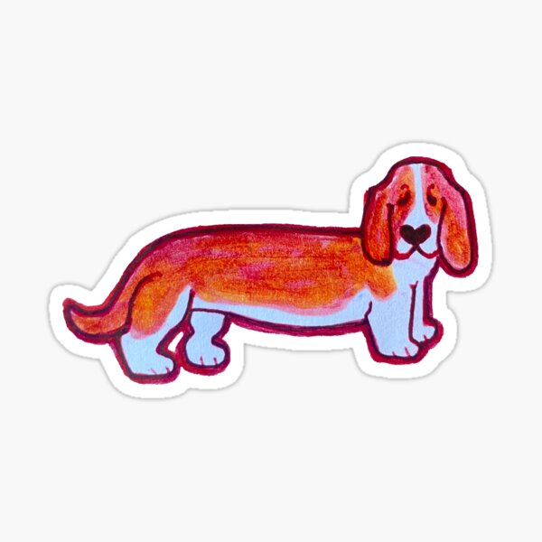 Colorful Basset Hound Sticker By Lilyjuneschu Redbubble 3457