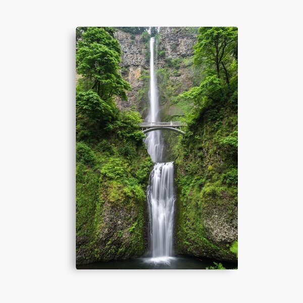 Item preview, Jungle Waterfall designed and sold by newburyboutique.