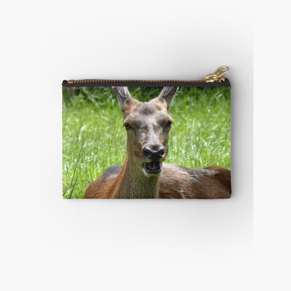 Item preview, Oh Deer! I'm Going To Sneeze! - Female Deer - NZ designed and sold by AndreaEL.