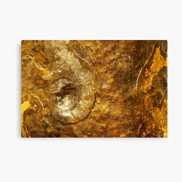 Bronze and Gold Wall Art Canvas Print