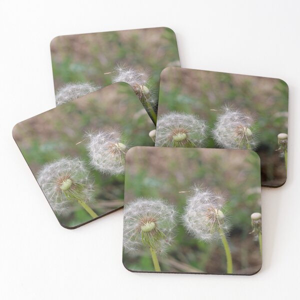 Item preview, Dandelion flower, three stages of dandelion life, philosophy of life designed and sold by yulchikon.