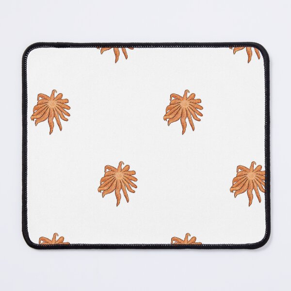 Item preview, Sunflower starfish designed and sold by Seatheocean.