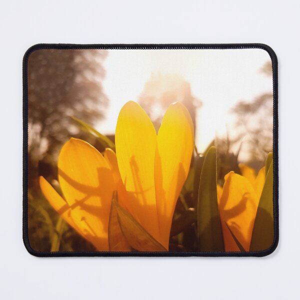 Item preview, Yellow Crocus in Sunshine designed and sold by katiamelnik.