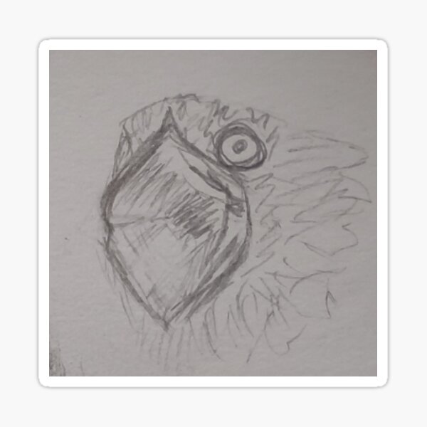 Item preview, Screaming potoo designed and sold by Ivy-Bindig.