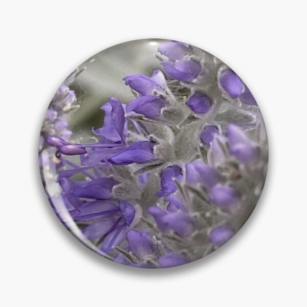 Item preview, Speedwell by Mark Ewing designed and sold by LifeSpice.