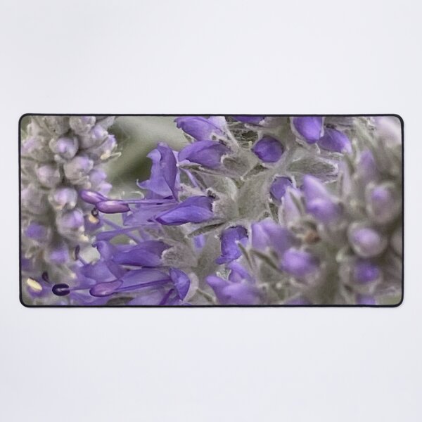 Item preview, Speedwell by Mark Ewing designed and sold by LifeSpice.