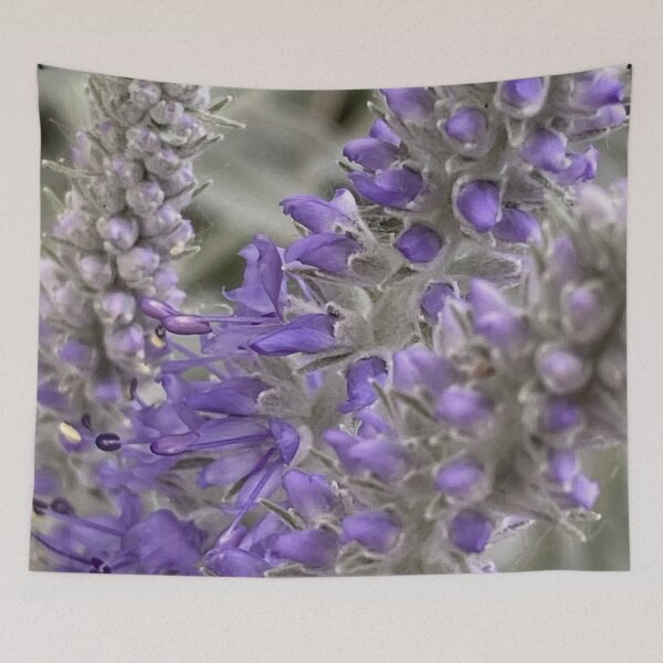 Item preview, Speedwell by Mark Ewing designed and sold by LifeSpice.