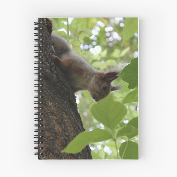 Item preview, A squirrel sitting on a tree of a green summer forest designed and sold by yulchikon.