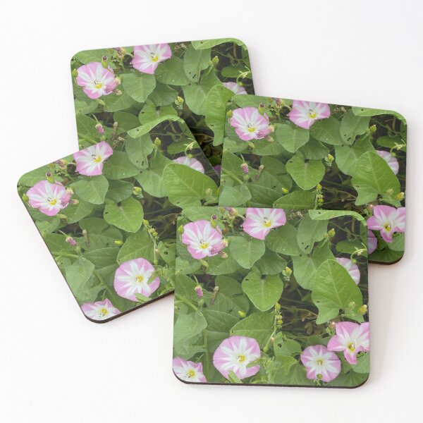 Item preview, Convolvulus Field Bindweed by Mark Ewing designed and sold by LifeSpice.