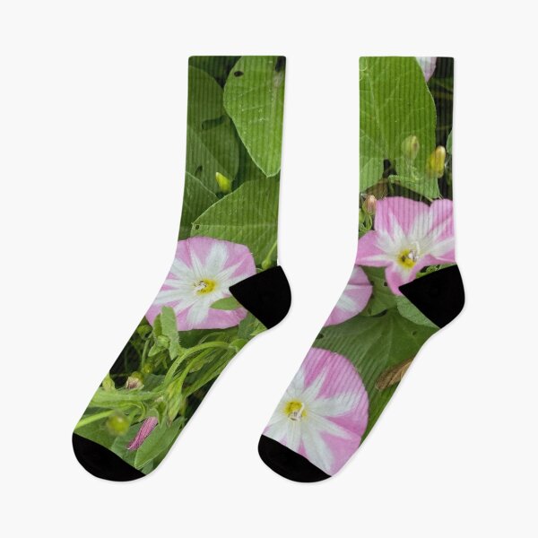 Item preview, Convolvulus Field Bindweed by Mark Ewing designed and sold by LifeSpice.
