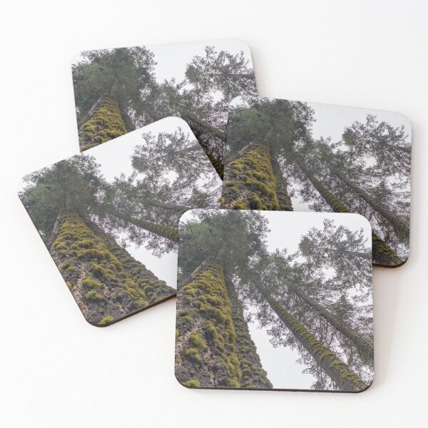 Item preview, Foggy Sequoia Forest designed and sold by J Carr Photographer.